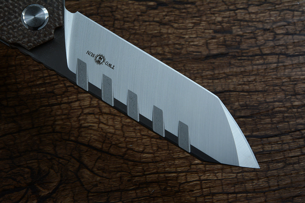 Twosun D2 Hunting Outdoor Knives Folding Blade Flipper Micarta Handle TS56