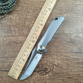 TWOSUN M390 Blade Pocket Folding Knife Titanium Handle TS196 Gray